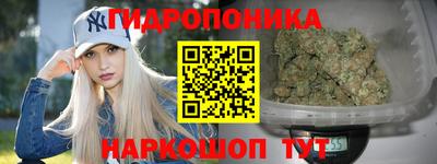 СК Гуково