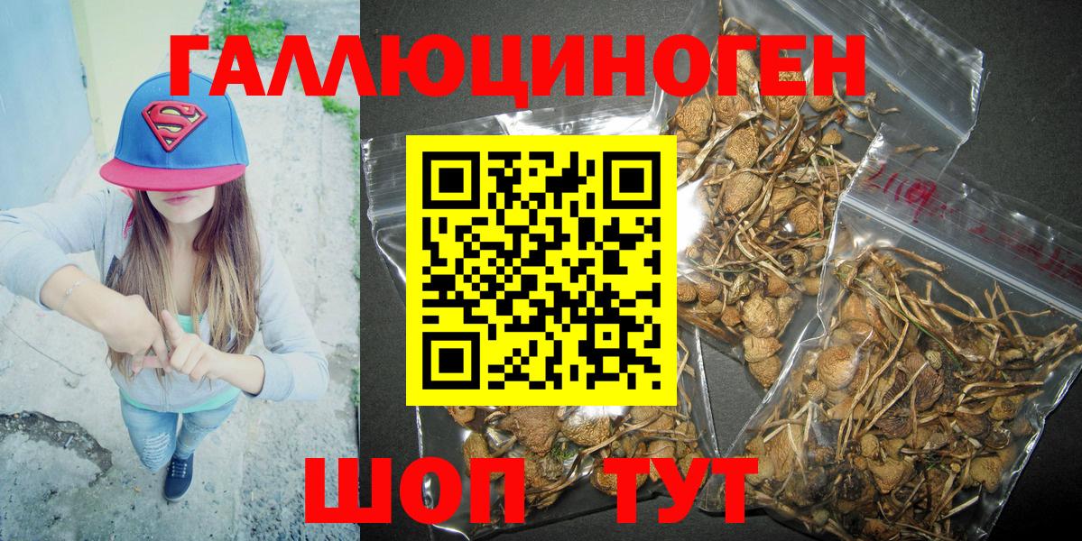 Псилоцибиновые грибы Magic Shrooms Видное
